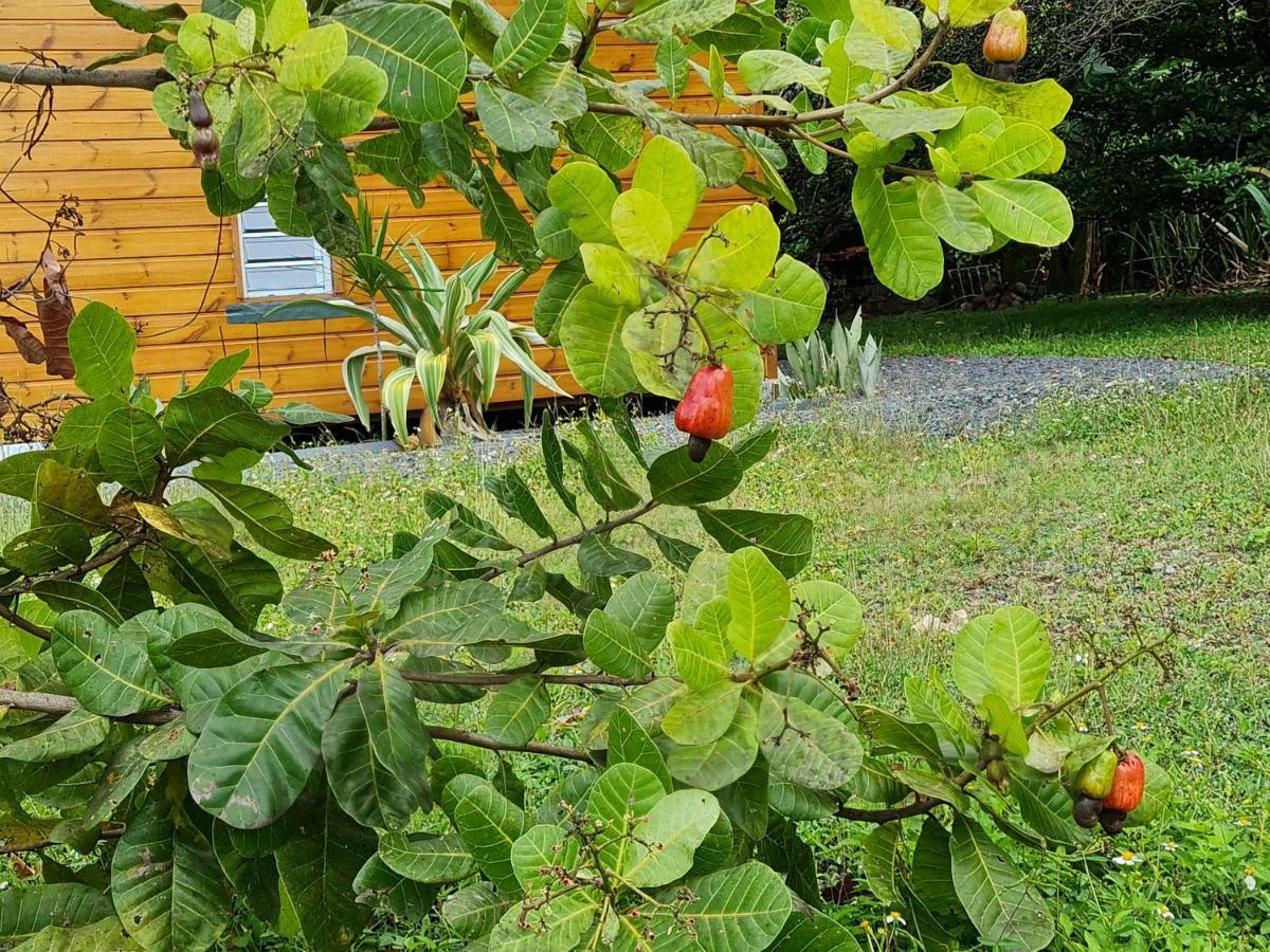 La Kaz Nature Bien-Etre Petit-Bourg Exterior foto